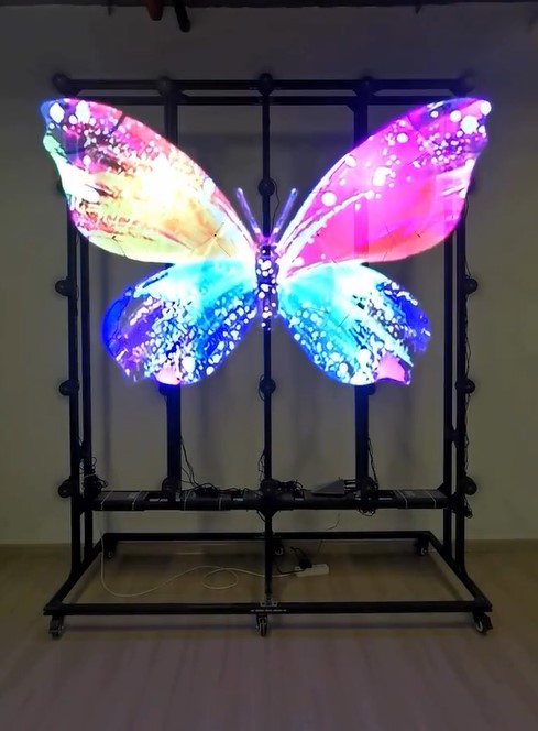 holograma